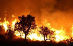 فیلم آتش سوزی مرگبار در الجزایر / 25 نفر زنده زنده سوختند 